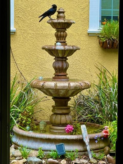 Glen Ellen Inn Secret Cottages المظهر الخارجي الصورة