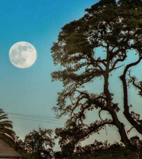 Glen Ellen Inn Secret Cottages المظهر الخارجي الصورة
