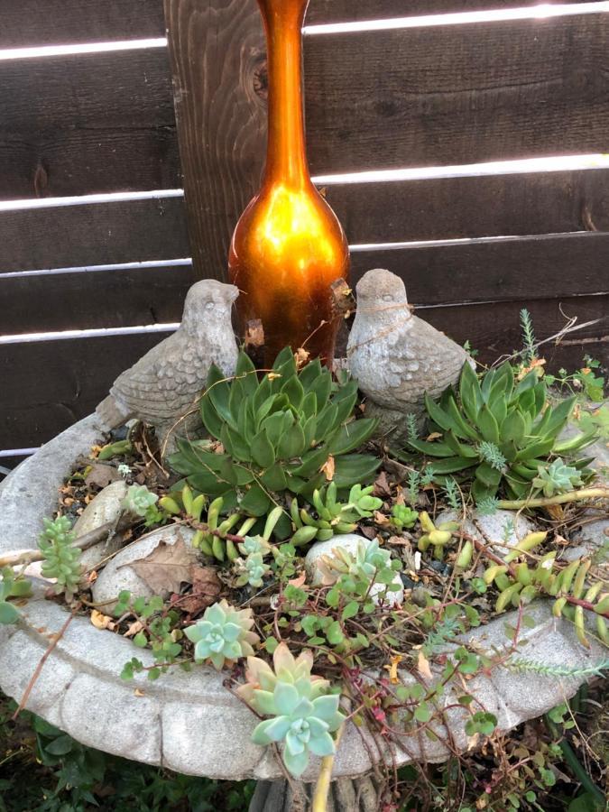Glen Ellen Inn Secret Cottages المظهر الخارجي الصورة
